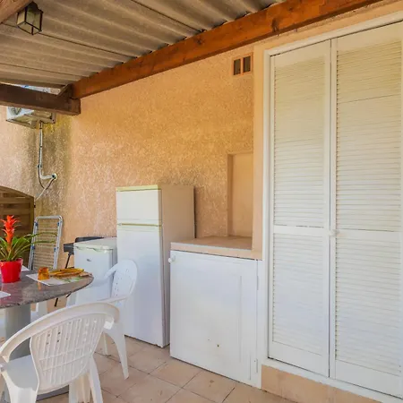 Les Cyclamens- Les Ecureuils